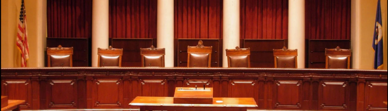 Minnesota Voters Alliance at the Minnesota Supreme Court